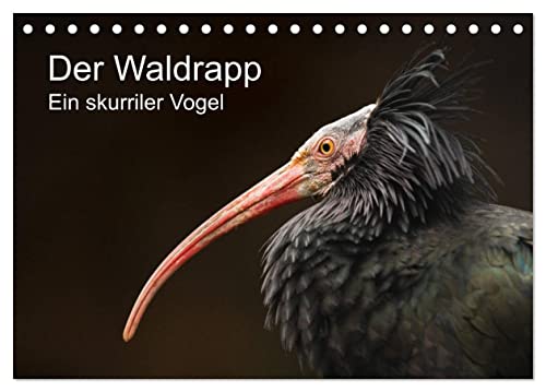 Der Waldrapp - Ein skurriler Vogel (Tischkalender 2025 DIN A5 quer), CALVENDO Monatskalender von CALVENDO