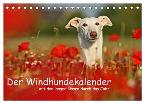 Der Windhundekalender (Tischkalender 2025 DIN A5 quer), CALVENDO Monatskalender von CALVENDO
