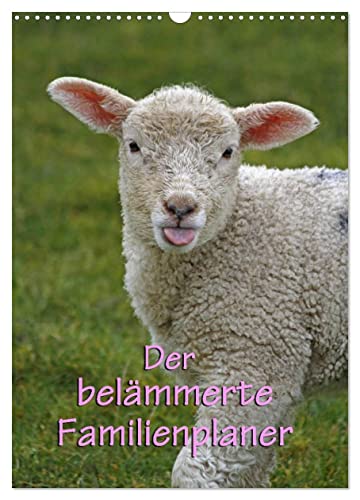 Der belämmerte Familienplaner (Wandkalender 2025 DIN A3 hoch), CALVENDO Monatskalender von CALVENDO
