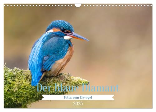 Der blaue Diamant - Fotos vom Eisvogel (Wandkalender 2025 DIN A3 quer), CALVENDO Monatskalender von CALVENDO