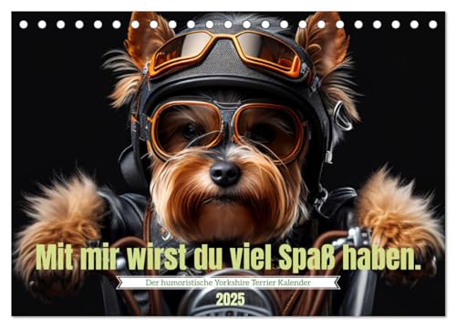 Der humoristische Yorkshire Terrier Kalender (Tischkalender 2025 DIN A5 quer), CALVENDO Monatskalender von CALVENDO