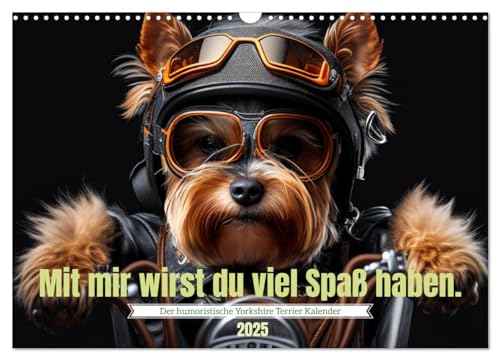 Der humoristische Yorkshire Terrier Kalender (Wandkalender 2025 DIN A3 quer), CALVENDO Monatskalender von CALVENDO