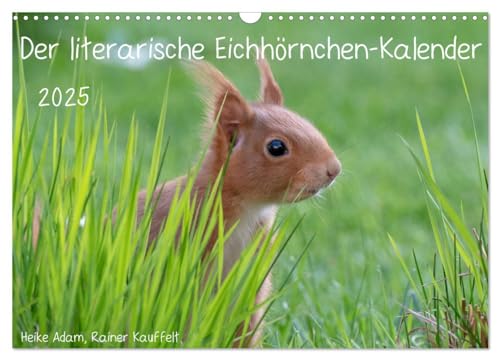 Der literarische Eichhörnchen-Kalender (Wandkalender 2025 DIN A3 quer), CALVENDO Monatskalender von CALVENDO