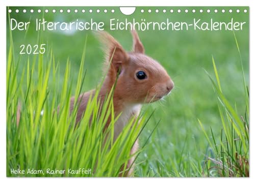 Der literarische Eichhörnchen-Kalender (Wandkalender 2025 DIN A4 quer), CALVENDO Monatskalender von CALVENDO
