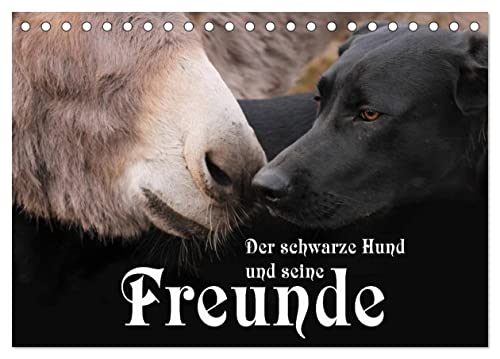 Der schwarze Hund und seine Freunde (Tischkalender 2025 DIN A5 quer), CALVENDO Monatskalender von CALVENDO