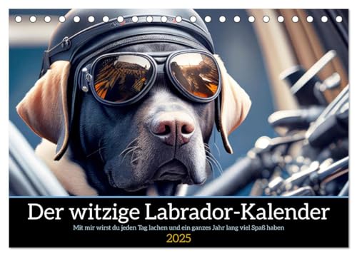 Der witzige Labrador-Kalender (Tischkalender 2025 DIN A5 quer), CALVENDO Monatskalender von CALVENDO
