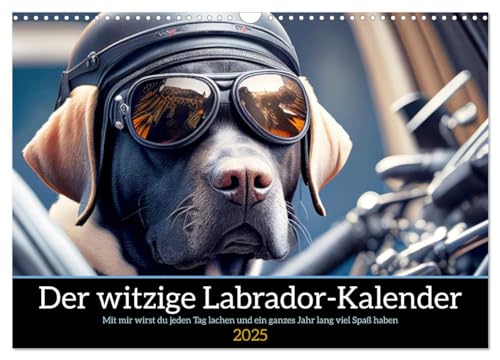 Der witzige Labrador-Kalender (Wandkalender 2025 DIN A3 quer), CALVENDO Monatskalender von CALVENDO