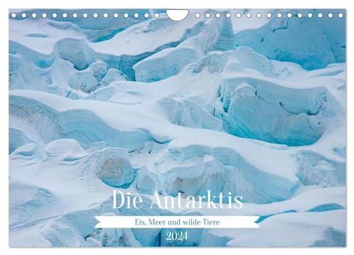 Die Antarktis - Eis, Meer und wilde Tiere (Wandkalender 2024 DIN A4 quer), CALVENDO Monatskalender