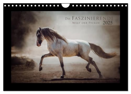 Die Faszinierende Welt der Pferde (Wandkalender 2025 DIN A4 quer), CALVENDO Monatskalender von CALVENDO