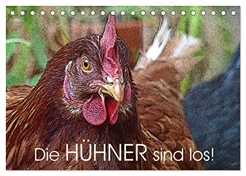 Die Hühner sind los! (Tischkalender 2025 DIN A5 quer), CALVENDO Monatskalender von CALVENDO