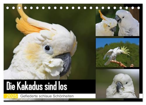 Die Kakadus sind los (Tischkalender 2025 DIN A5 quer), CALVENDO Monatskalender von CALVENDO
