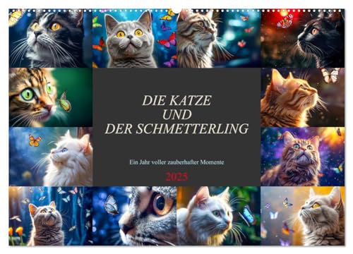 Die Katze und der Schmetterling (Wandkalender 2025 DIN A2 quer), CALVENDO Monatskalender von CALVENDO