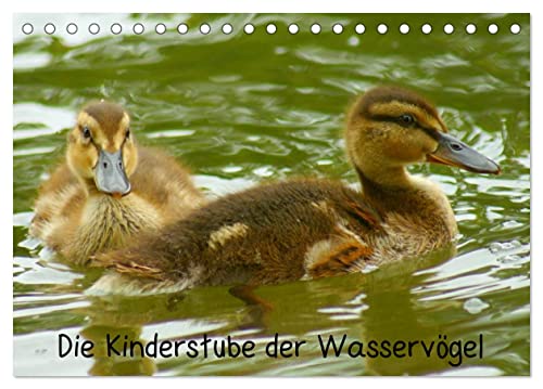 Die Kinderstube der Wasservögel (Tischkalender 2025 DIN A5 quer), CALVENDO Monatskalender von CALVENDO
