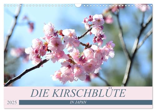 Die Kirschblüte in Japan (Wandkalender 2025 DIN A3 quer), CALVENDO Monatskalender: O-Hanami - die Kirschblüte - Symbol der Vergänglichkeit (CALVENDO Natur) von Calvendo
