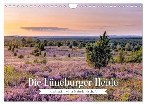 Die Lüneburger Heide - Faszination einer Naturlandschaft (Wandkalender 2025 DIN A4 quer), CALVENDO Monatskalender von CALVENDO