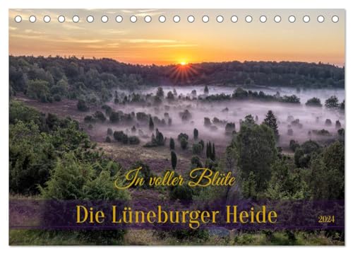 Die Lüneburger Heide - In voller Blüte (Tischkalender 2024 DIN A5 quer), CALVENDO Monatskalender von CALVENDO