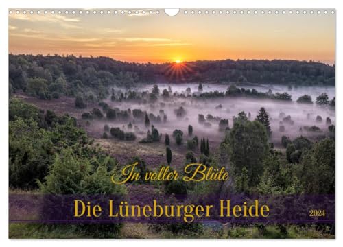 Die Lüneburger Heide - In voller Blüte (Wandkalender 2024 DIN A3 quer), CALVENDO Monatskalender von CALVENDO