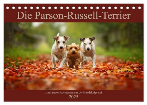 Die Parson-Russell-Terrier ...mit neuen Abenteuern aus der Hundeknipserei (Tischkalender 2025 DIN A5 quer), CALVENDO Monatskalender von CALVENDO