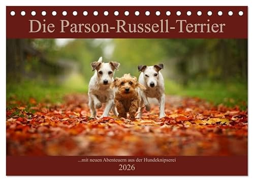 Die Parson-Russell-Terrier ...mit neuen Abenteuern aus der Hundeknipserei (Tischkalender 2026 DIN A5 quer), CALVENDO Monatskalender: Schöne und witzige Bilder über das Terrierleben (CALVENDO Tiere) von Calvendo