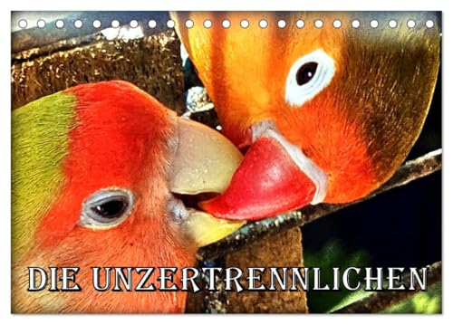 Die Unzertrennlichen (Tischkalender 2025 DIN A5 quer), CALVENDO Monatskalender von CALVENDO