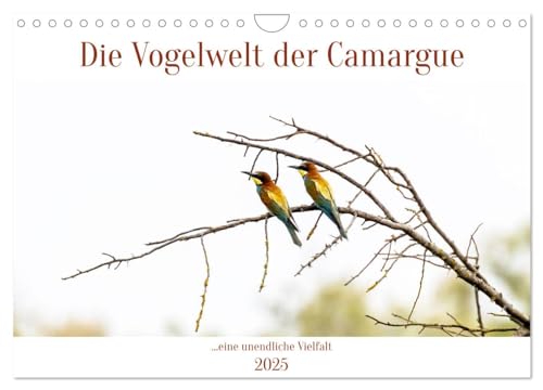 Die Vogelwelt der Camargue (Wandkalender 2025 DIN A4 quer), CALVENDO Monatskalender von CALVENDO