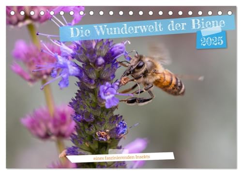 Die Wunderwelt der Biene (Tischkalender 2025 DIN A5 quer), CALVENDO Monatskalender von CALVENDO