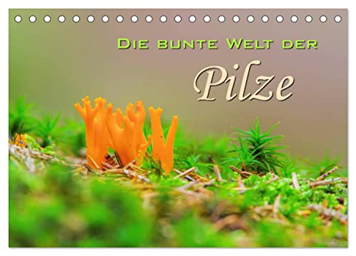 Die bunte Welt der Pilze (Tischkalender 2025 DIN A5 quer), CALVENDO Monatskalender von CALVENDO