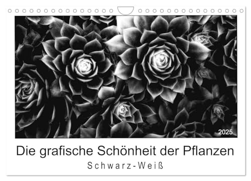 Die grafische Schönheit der Pflanzen – Schwarz-Weiß (Wandkalender 2025 DIN A4 quer), CALVENDO Monatskalender von CALVENDO