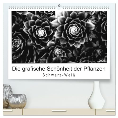 Die grafische Schönheit der Pflanzen – Schwarz-Weiß (hochwertiger Premium Wandkalender 2025 DIN A2 quer), Kunstdruck in Hochglanz von CALVENDO