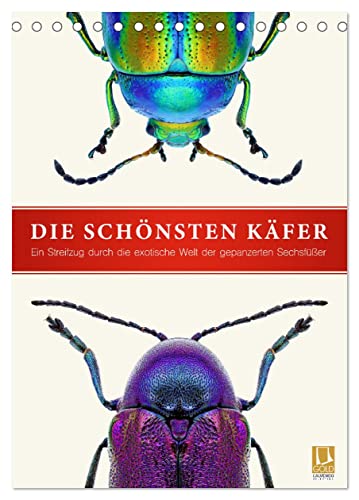 Die schönsten Käfer (Tischkalender 2025 DIN A5 hoch), CALVENDO Monatskalender von CALVENDO