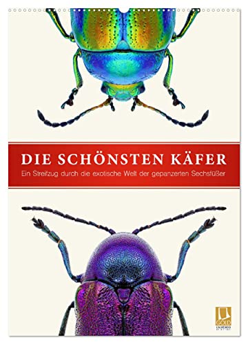 Die schönsten Käfer (Wandkalender 2025 DIN A2 hoch), CALVENDO Monatskalender von CALVENDO