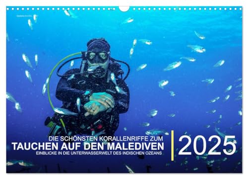 Die schönsten Korallenriffe zum Tauchen auf den Malediven (Wandkalender 2025 DIN A3 quer), CALVENDO Monatskalender von CALVENDO