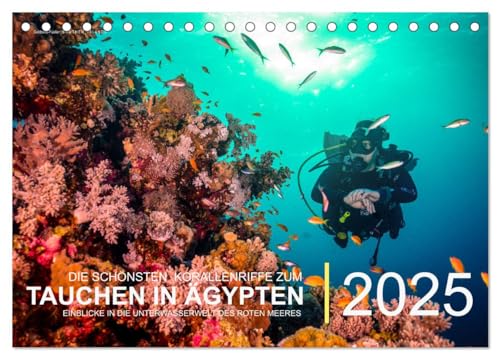 Die schönsten Korallenriffe zum Tauchen in Ägypten (Tischkalender 2025 DIN A5 quer), CALVENDO Monatskalender von CALVENDO