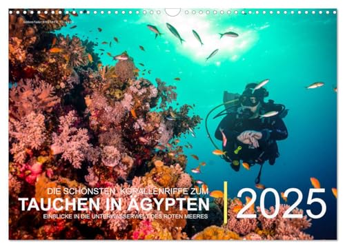 Die schönsten Korallenriffe zum Tauchen in Ägypten (Wandkalender 2025 DIN A3 quer), CALVENDO Monatskalender von CALVENDO
