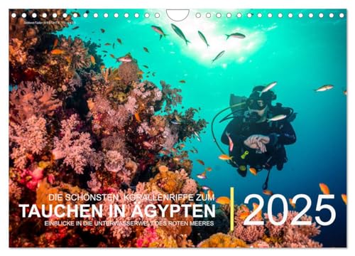 Die schönsten Korallenriffe zum Tauchen in Ägypten (Wandkalender 2025 DIN A4 quer), CALVENDO Monatskalender von CALVENDO