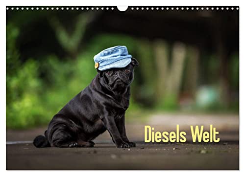 Diesels Welt (Wandkalender 2025 DIN A3 quer), CALVENDO Monatskalender von CALVENDO