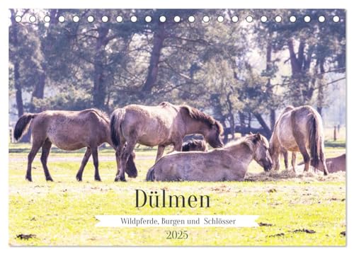 Dülmen - Wildpferde, Burgen und Schlösser (Tischkalender 2025 DIN A5 quer), CALVENDO Monatskalender von CALVENDO