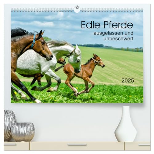 Edle Pferde - ausgelassen und unbeschwert (hochwertiger Premium Wandkalender 2025 DIN A2 quer), Kunstdruck in Hochglanz von CALVENDO