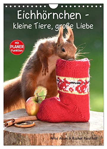 Eichhörnchen - kleine Tiere, große Liebe (Wandkalender 2025 DIN A4 hoch), CALVENDO Monatskalender von CALVENDO