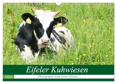 Eifeler Kuhwiesen (Wandkalender 2026 DIN A3 quer), CALVENDO Monatskalender von CALVENDO
