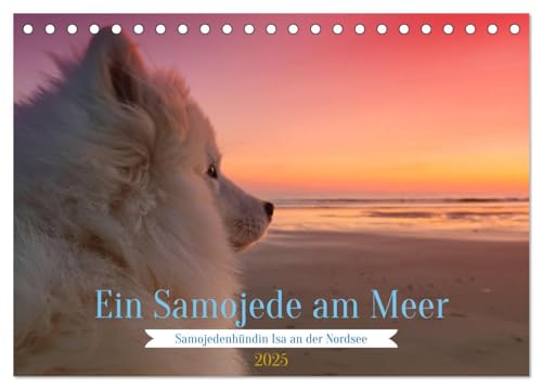 Ein Samojede am Meer (Tischkalender 2025 DIN A5 quer), CALVENDO Monatskalender: Samojeden - Die freundlichen Schlittenhunde aus dem Norden (CALVENDO Tiere) von Calvendo