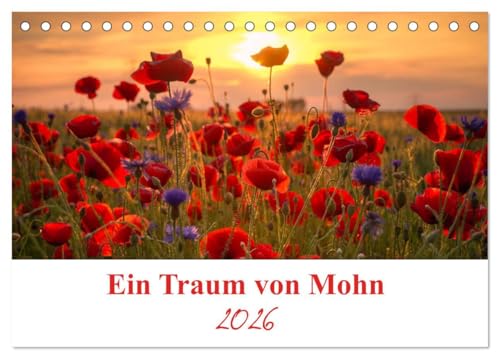Ein Traum von Mohn (Tischkalender 2026 DIN A5 quer), CALVENDO Monatskalender: Die Mohnblumen sind eine immergrüne ein bis zweijährige Pflanze und die Blütezeit ist von Mai bis Juli. (CALVENDO Natur) von Calvendo