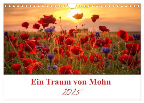 Ein Traum von Mohn (Wandkalender 2025 DIN A4 quer), CALVENDO Monatskalender: Die Mohnblumen sind eine immergrüne ein bis zweijährige Pflanze und die Blütezeit ist von Mai bis Juli. (CALVENDO Natur)