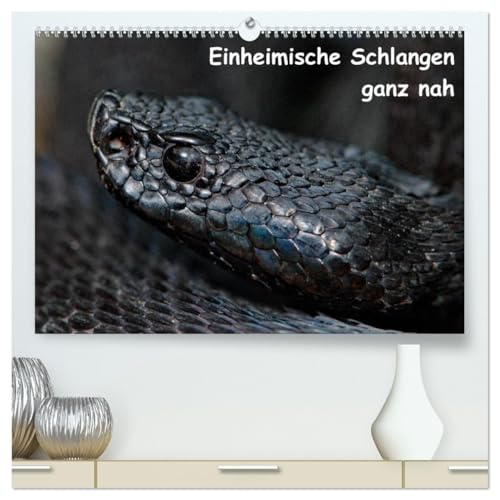 Einheimische Schlangen ganz nah (hochwertiger Premium Wandkalender 2026 DIN A2 quer), Kunstdruck in Hochglanz von CALVENDO