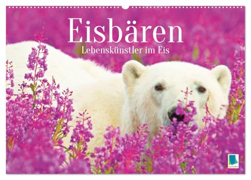 Eisbären: Lebenskünstler im Eis (Wandkalender 2025 DIN A2 quer), CALVENDO Monatskalender von CALVENDO