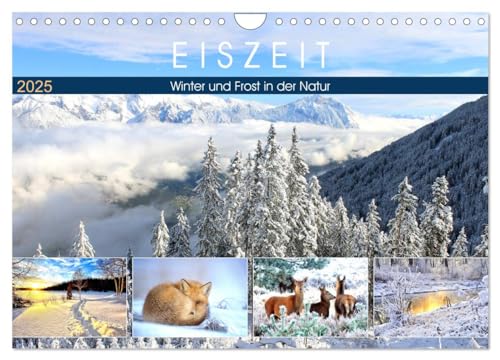 Eiszeit. Winter und Frost in der Natur (Wandkalender 2025 DIN A4 quer), CALVENDO Monatskalender von CALVENDO