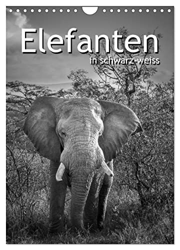 Elefanten in schwarz-weiss (Wandkalender 2025 DIN A4 hoch), CALVENDO Monatskalender von CALVENDO