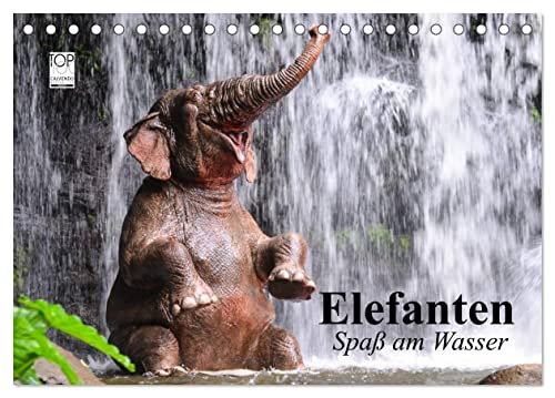 Elefanten. Spaß am Wasser (Tischkalender 2025 DIN A5 quer), CALVENDO Monatskalender von CALVENDO
