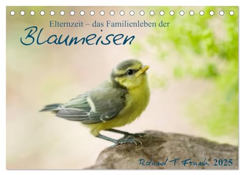 Elternzeit - das Familienleben der Blaumeisen (Tischkalender 2025 DIN A5 quer), CALVENDO Monatskalender von CALVENDO