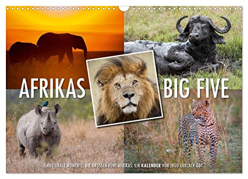 Emotionale Momente: Afrikas Big Five (Wandkalender 2025 DIN A3 quer), CALVENDO Monatskalender von CALVENDO